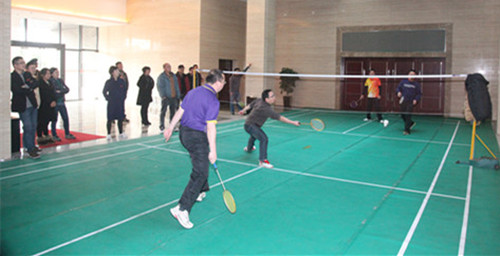 羽毛球比赛现场